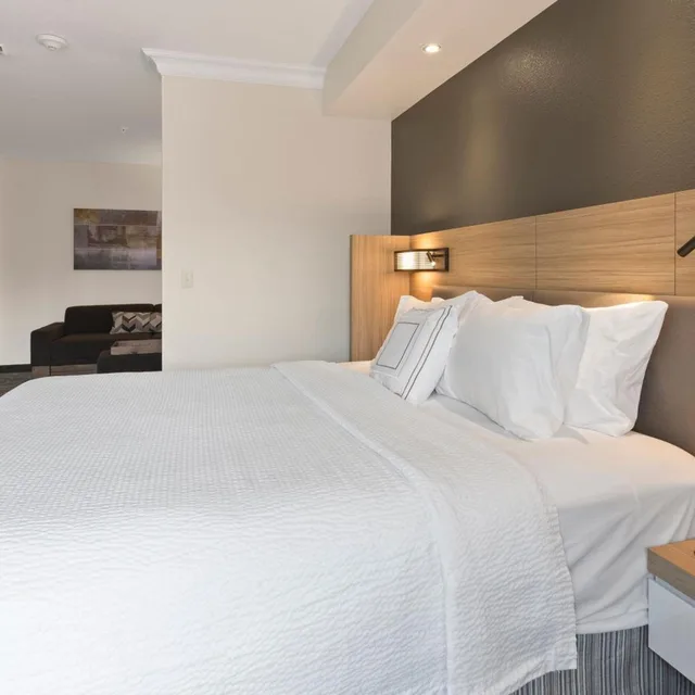 جناح بسرير كينج مع سرير سحّاب إضافي مع أريكة، Springhill Suites By Marriott Sacramento Airport Natomas 1/2
