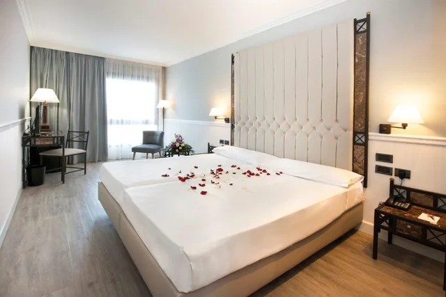 غرفة قياسية مفردة، Hotel Gran Via Logroño 1/1