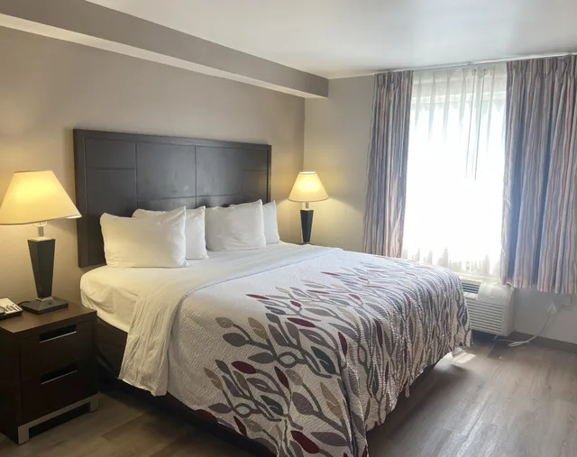 Standard, King Bed, Accessible, Red Roof Inn Pittsburgh Mcknight Rd 3/4