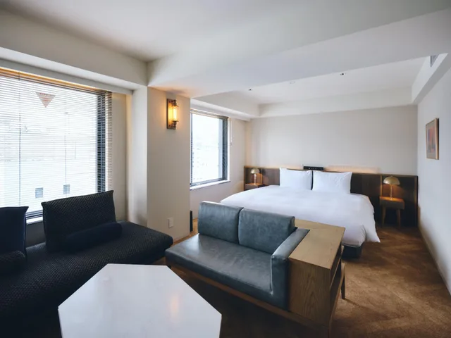 غرفة ديلوكس بسرير كينج بحوض استحمام، NOHGA HOTEL AKIHABARA TOKYO 1/1