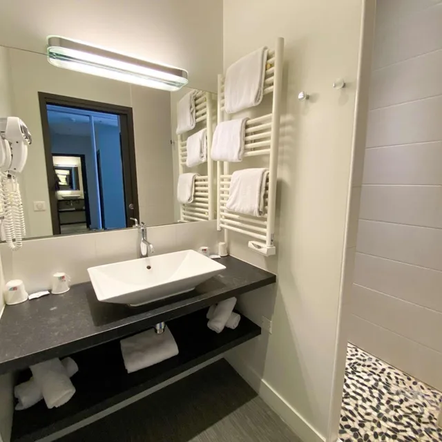 Studio, Apartment, Queen Bed, Best Western Le Cheval Blanc 6/10