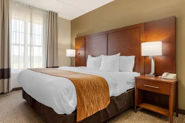 جناح بسرير كينج، Comfort Inn & Suites Cordele GA 2/2