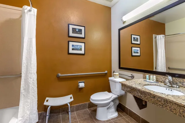 جناح بزنس بسرير كينج مع أريكة لذوي الإعاقة، Quality Suites Addison-Dallas 5/5