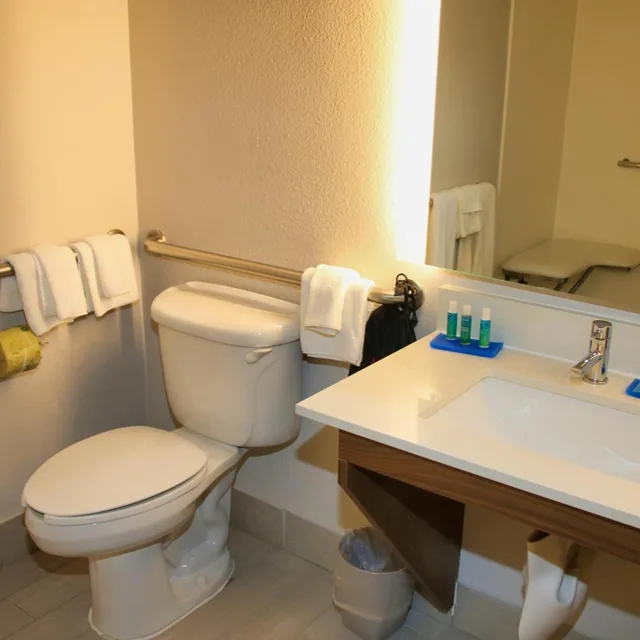 غرفة تنفيذية بسرير كينج لذوي الإعاقة، Holiday Inn Express Hotel And Suites Douglas 7/9