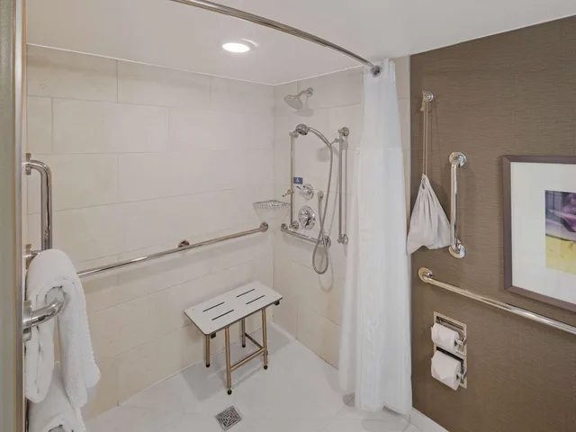 غرفة بسرير كينج بإطلالة على المدينة لذوي الإعاقة، Hilton Harrisburg 4/5