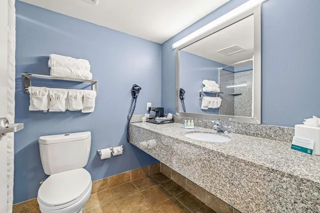 غرفة قياسية بسرير كينج، Quality Inn & Suites Tampa near Fairgrounds and Casino 10/10