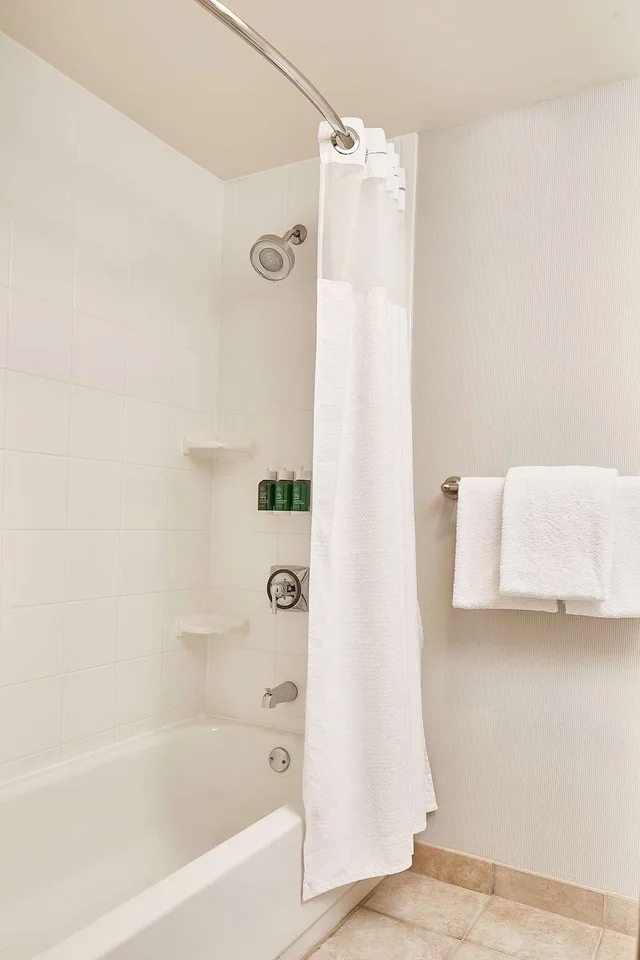 1 Bedroom, Suite, King Bed, Sofa, Sonesta Select Raleigh Durham Airport Morrisville 3/3