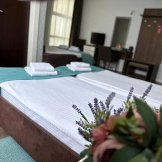 غرفة عائلية، Balkan Garni Hotel 4/7