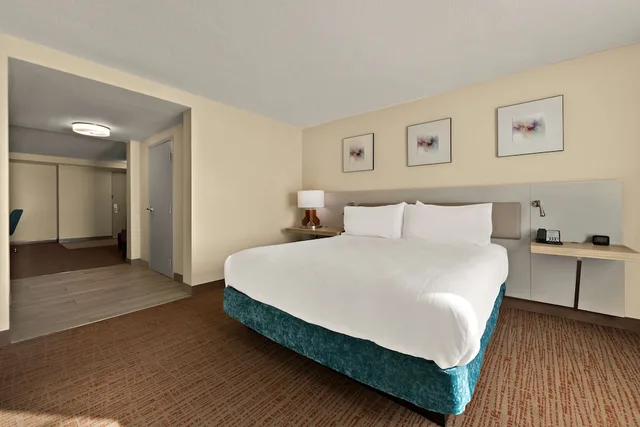 جناح ديلوكس بسرير كينج مع أريكة، Hilton Garden Inn Williamsburg 1/5