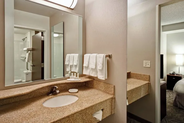 استوديو بسريرين مزدوجين لذوي الإعاقة، Springhill Suites by Marriott Louisville Airport 4/6