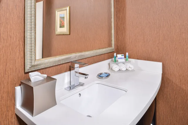 جناح بسرير كينج بحوض جاكوزي، Holiday Inn Express Lewisburg/New Columbia 8/10