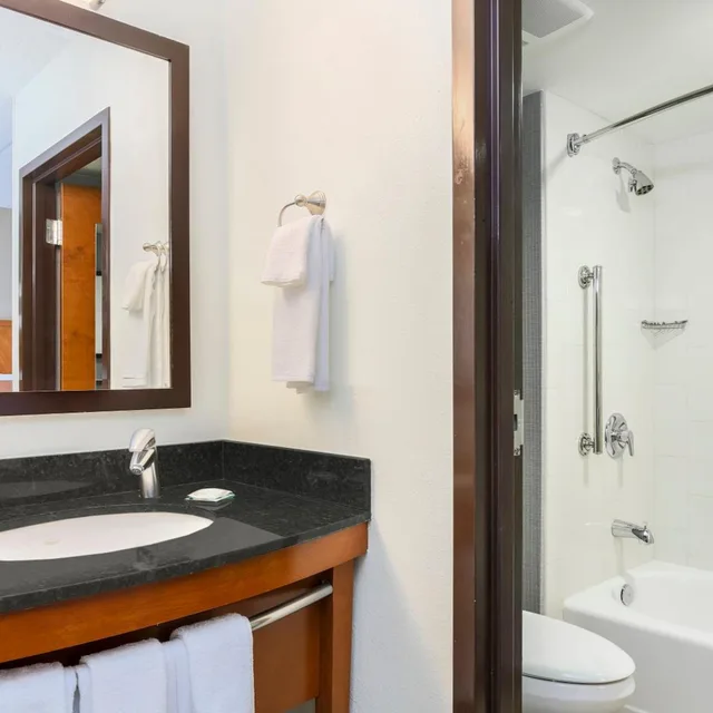 غرفة بسرير كينج مع أريكة لذوي الإعاقة، Hyatt Place Fort Worth/Hurst 2/2