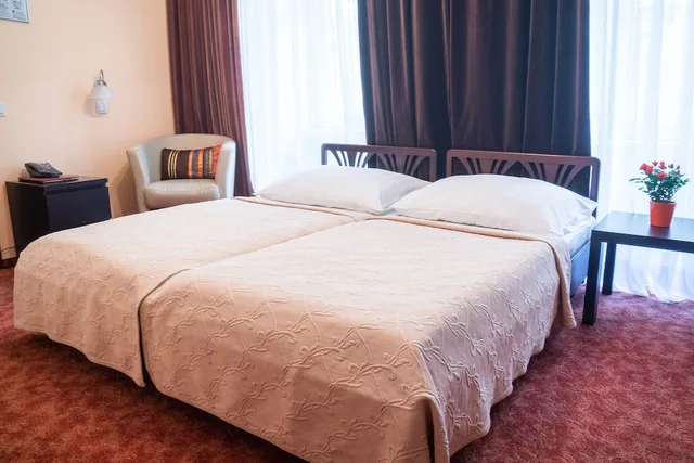 Room, Double Bed, Bajazzo 6/10
