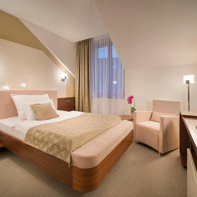 Superior, Single, Wellness Hotel Diamant (ex Relaxacni A Regeneracni Centrum) 3/7