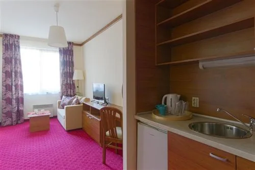 استوديو، Vihren Royal Palace Hotel 1/1