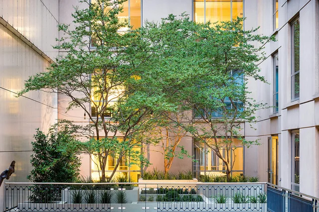 غرفة ديلوكس، Westin Melbourne 2/2