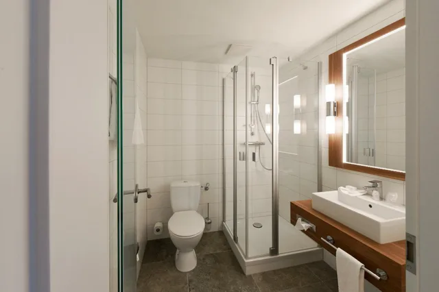 غرفة اقتصادية مفردة، City Hotel Biel Bienne 8/9