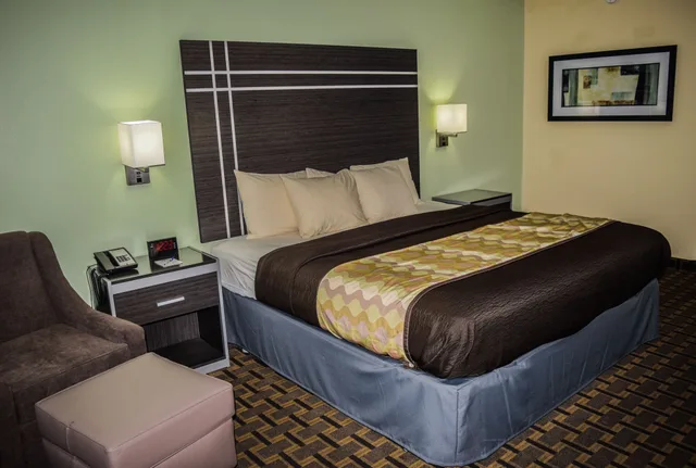 غرفة قياسية بسرير كينج يُسمح فيها بالحيوانات الأليفة، Best Western Coachlight 3/4