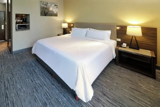 Ballpark, Standard, King Bed, Balcony، Holiday Inn Express Suites Monterrey Valle 2/10