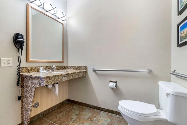 جناح بسرير كينج لذوي الإعاقة، Comfort Inn & Suites Mitchell I-90 4/5