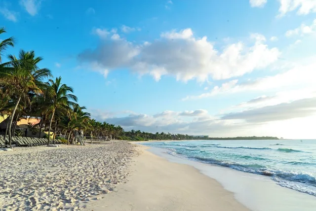Catalonia Royal Tulum - Adults only، بلايا ديل كارمن 63/72