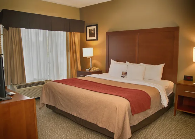 Standard, King Bed, Comfort Inn Blythewood - North Columbia 2/6