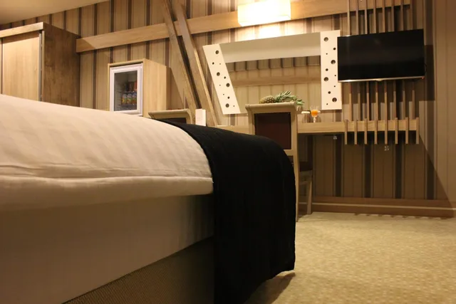 غرفة بسرير مزدوج أو سريرين منفصلين لذوي الإعاقة، Neba Royal Hotel 1/3
