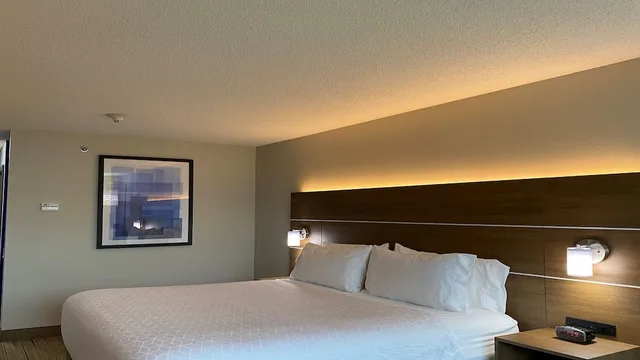 غرفة قياسية بسرير كينج، Holiday Inn Express Suites Somerset Central 3/10