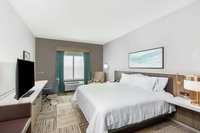 1 Bedroom, Suite, King Bed, Sofa, Hilton Garden Inn Harlingen Convention Center Tx 1/1