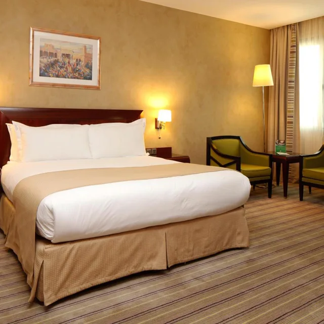 Premium, King Bed, City View, Smoking, Holiday Inn Olaya 2/3