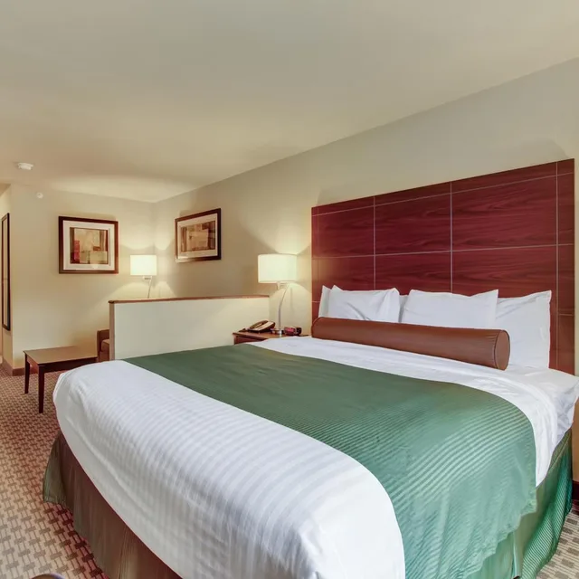 استوديو بسرير كينج مع أريكة، Cobblestone Hotel Suites Waynesboro Pa 2/7