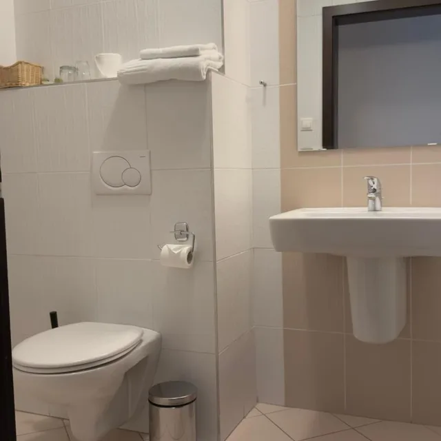 غرفة بزنس مفردة، Aston Business Hotel 3/5