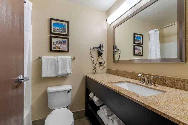 جناح بسرير كينج مع أريكة لذوي الإعاقة، Comfort Suites Highlands Ranch Denver Tech Center Area 6/7