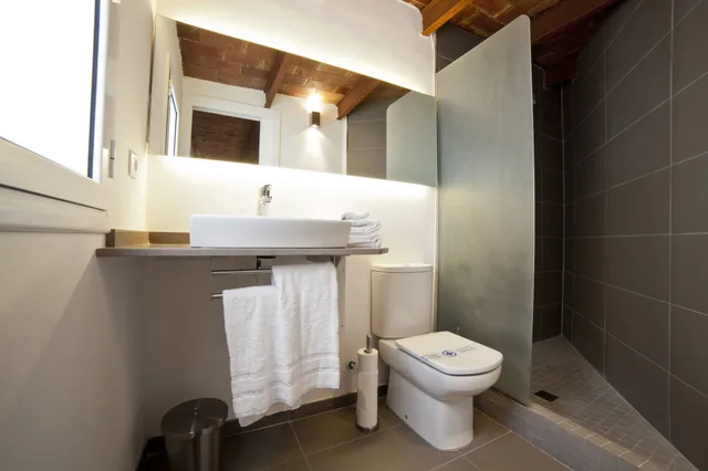 Apartment, 1 Double and 4 Single Beds, Attic، Serennia Apartments Ramblas-Pl.Catalunya 5/7
