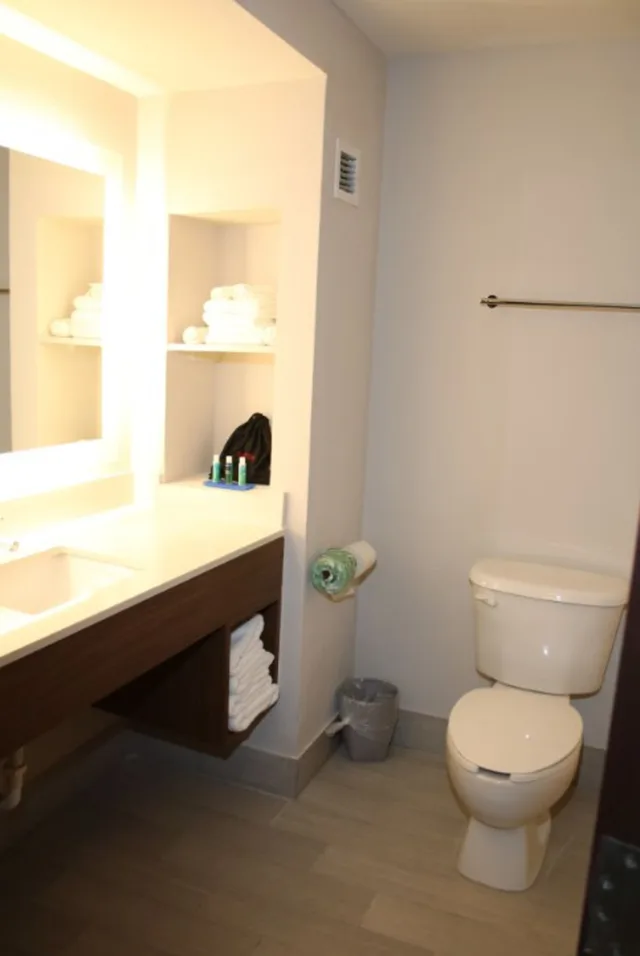 Standard, Double Bed, Holiday Inn Express Hotel And Suites Douglas 10/10