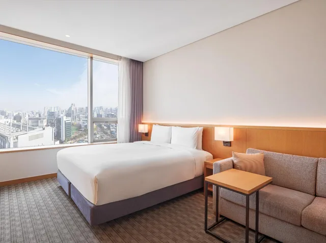 غرفة ديلوكس بسرير كينج في طابق مرتفع، Sotetsu Hotels The Splaisir Seoul Dongdaemun 4/9