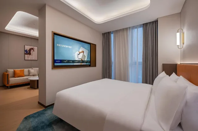 جناح ديلوكس بسرير مزدوج وسرير فردي، Novotel Hangzhou Xintiandi 5/8