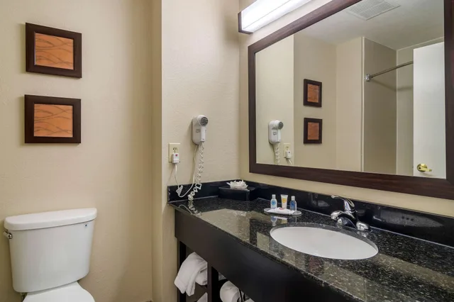 جناح بسرير كينج لذوي الإعاقة، Comfort Inn & Suites Atlanta/Smyrna 6/7