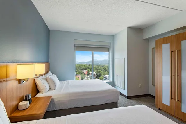 غرفة بسريرين كوين بإطلالة على الجبل، Doubletree By Hilton Asheville Downtown 1/4