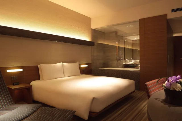 غرفة كلوب بسرير كينج، Hyatt Regency Tokyo 3/5