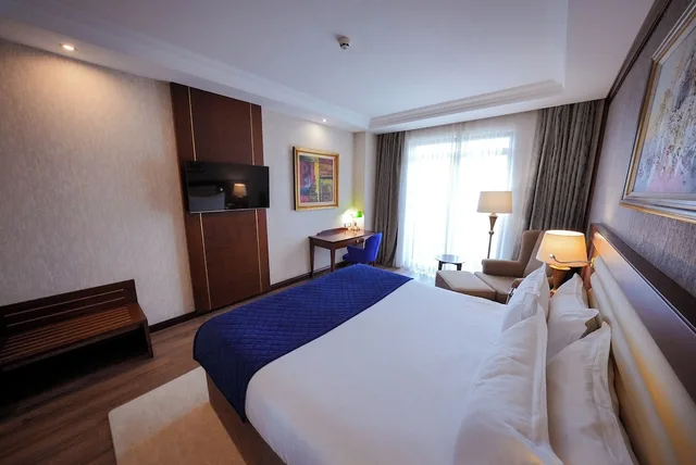 غرفة ديلوكس بسرير كينج بإطلالة على الجبل، Wellborn Luxury Hotel 2/10