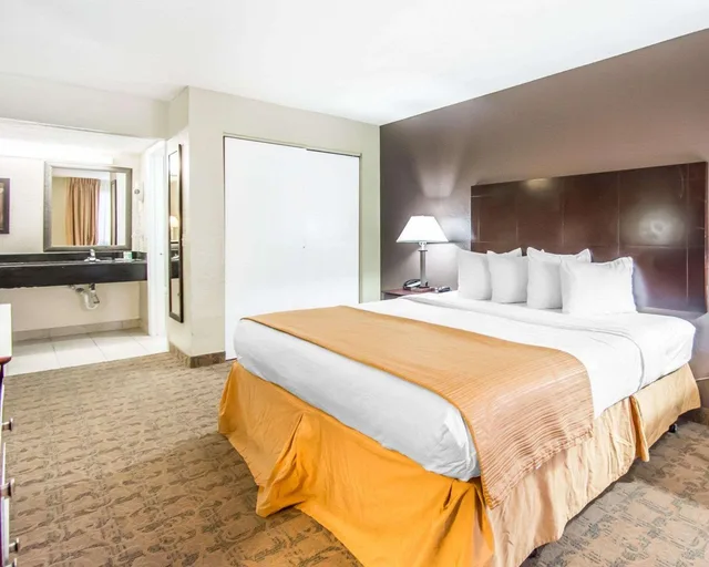 Upgrade, Efficiency, King Bed, Accessible، Quality Inn Suites By the Parks 1/3