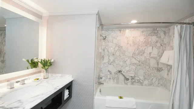 Premium, King Bed, Plaza View, Balcony، InterContinental Kansas City at the Plaza 4/6