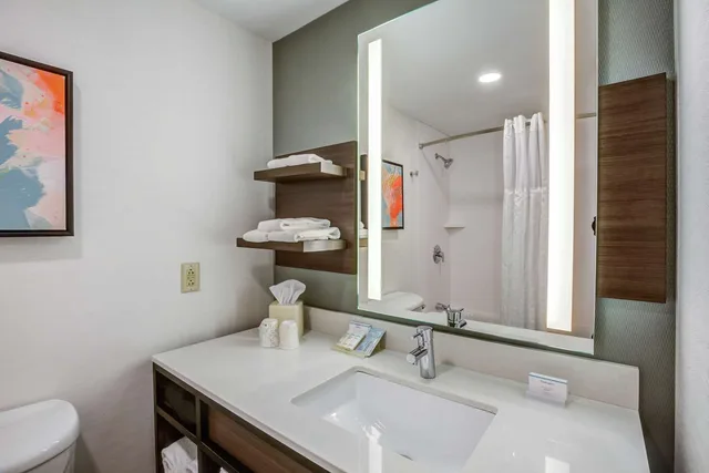 غرفة بريميوم بسرير كينج، Hilton Garden Inn Boston Waltham 3/3
