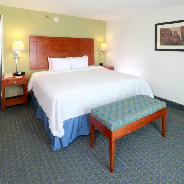 غرفة بسرير كينج لذوي الإعاقة، Hampton Inn by Hilton Reynosa Zona Industrial 3/4