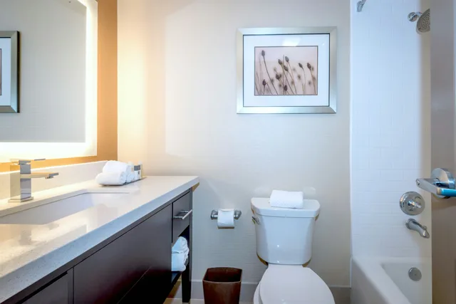غرفة بسريرين مزدوجين لذوي الإعاقة، Doubletree By Hilton Hotel Montgomery Downtown 4/4