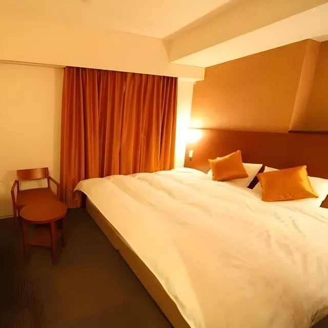 Room, King Bed, Unit Bath، Dormy Inn Premium Wakayama 1/1