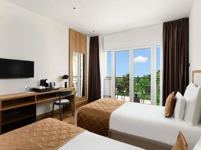 Standard, Twin Beds, Pool View, Balcony, Movenpick Resort and Spa Fruske Terme 5/6