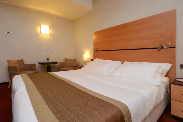 Superior, Single, Double Bed, Hotel Igea 1/9