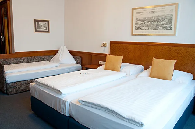 غرفة قياسية ثلاثية بثلاثة أسرّة بإطلالة على المدينة، Austria Classic Hotel Wien 2/10